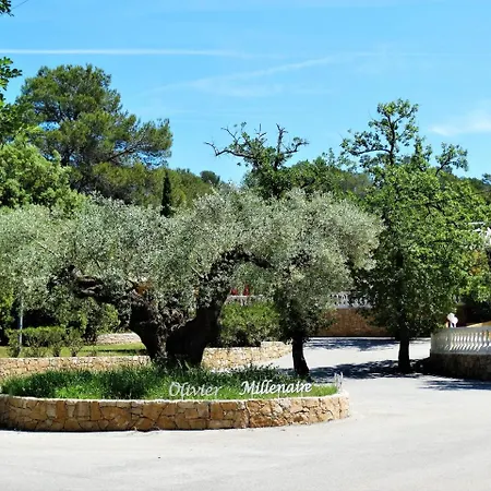 Camping Sunissim La Pierre Verte By Locatour Campsite